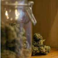 Collection Psychotrope Paris HHCPO THCP THCV H4CBD