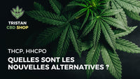 CBN+ SHOP FRANCE à Paris rue Vandamme | tristancbd.com
