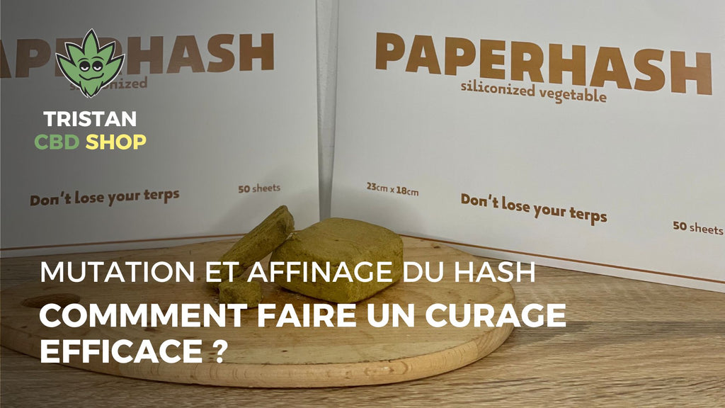 Guide Pratique Curing: Mutation et Affinage du Hash / Shit, comment fa ...