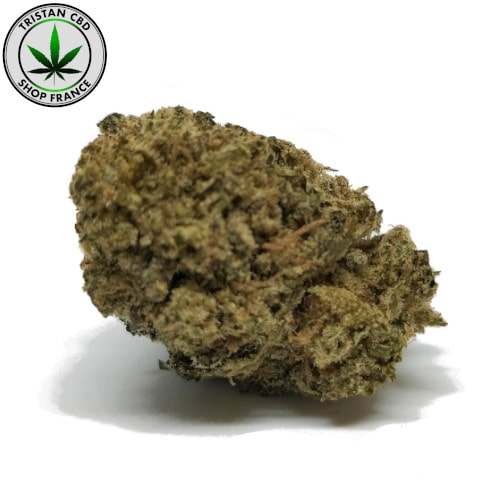 Mini joint pur Pré rouler shop france | tristancbd.com