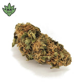 Fleurs CBD Amnésia Indoor | tristancbd.com