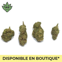 CBN + SHOP FRANCE Plutonium Haze | tristancbd.com