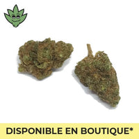 Pré rolls mini CBN+ Porn Star OG puissantes | tristancbd.com