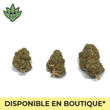 CBN+ Porn Star OG Pré roulé Mini | tristancbd.com