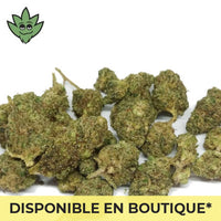 CBN+ défonce légale plutonium haze | tristancbd.com