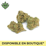 joint Moyen Blueberry Mojito pré-roulé CBN+ puissantes | tristancbd.com