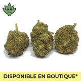 Joint pur sans tabac et nicotine CBN+ défonce légale sativa+ | tristancbd.com