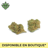 CBN+ Maxi pré roulé Blueberry Mojito Weed Legal | tristancbd.com