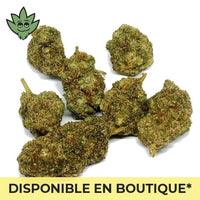 CBN+ Champagne Haze Maxi pré roulé sans tabac | tristancbd.com