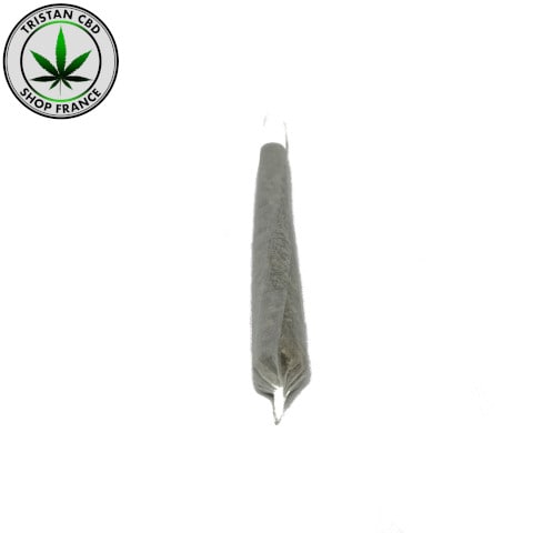 Cigarette Sans tabac Maxi OG Mint | tristancbd.com