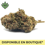 CBC nouvelle molécule 2027 911 OG sucrée fleurs défonce légale | tristancbd.com