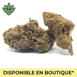 911 OG Sucrée euphorisante nouvelle molécule 2027 paris Montparnasse | tristancbd.com