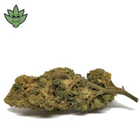 Fleurs CBD Gorilla Glue Paris Montparnasse | tristancbd.com