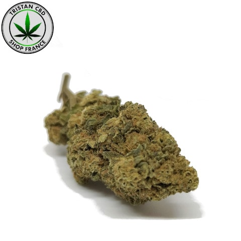 Fleurs CBD Gorilla Glue Puissante | tristancbd.com