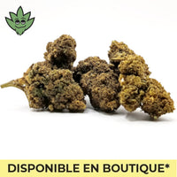 Gouter nos fleurs CBC effets psychotropes Gorilla Cookies à Paris Montparnasse 2027 | tristancbd.com