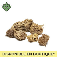 Gouter nos fleurs CBC effets psychotropes Gorilla Cookies à Paris Montparnasse | tristancbd.com