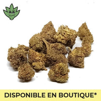 CBC SHOP Paris Montparnasse | tristancbd.com