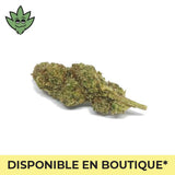 CBN+ Maxi pré roulé Plutonium HAze Weed Sativa Légale | tristancbd.com