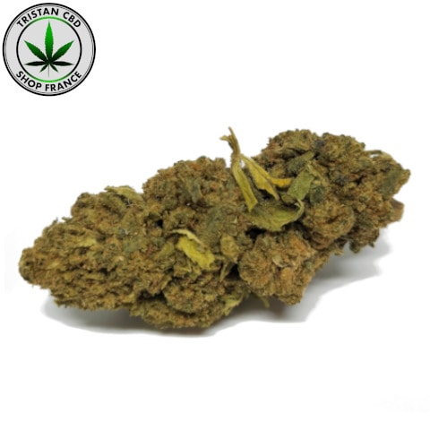Joint pur maxi Buddha Kush CBD | tristancbd.com
