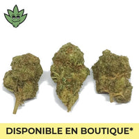 Pré roulé Shop France Maxi CBN+ Champagne HAze | tristancbd.com