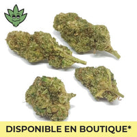 Joint pur sans tabac et nicotine CBN+ défonce légale sativa+ Plutonium Haze | tristancbd.com