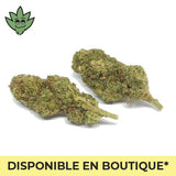 CBN+ Plutonium Haze Très puissant sans tabac déjà roulé taille Maxi | tristancbd.com