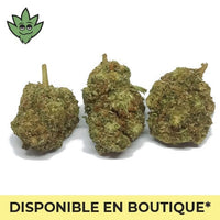 CBN+ Champagne HAze Euphorisant Pré roulé Mini | tristancbd.com