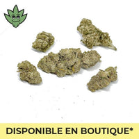 CBN+ SHOP FRANCE Malibu Zkittlez à Paris Montparnasse | tristancbd.com