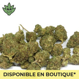 CBN+ Plutonium Haze Maxi pré roulé sans tabac | tristancbd.com