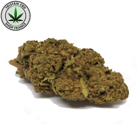 little pre rolls cbd no tabaco | tristancbd.com