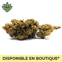 CBC Tinky Winky euphorisant molécule  2027 fruité | tristancbd.com