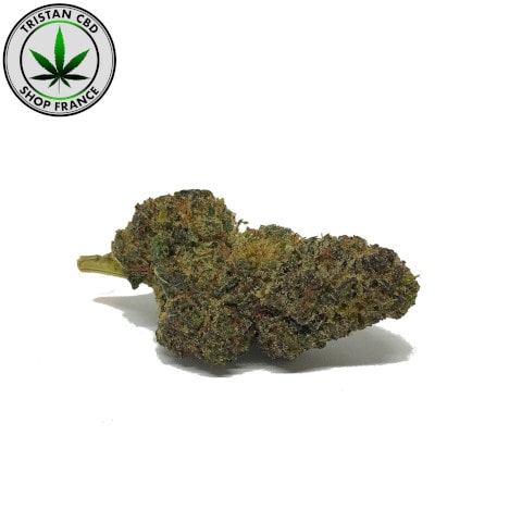 Pré roulé Moyen HHC Amnésia Oil WEED Hash High feeling | tristancbd.com