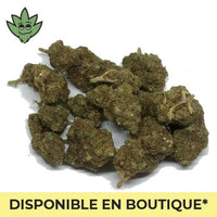 CBN+ Porn Star OG  Mini Pré roulé | tristancbd.com