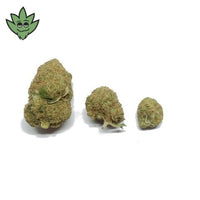 CBD SHOP Paris Montparnasse Pré roulé Maxi Mac1 | tristancbd.com