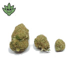 CBD SHOP Paris Montparnasse Pré roulé Maxi Mac1 | tristancbd.com