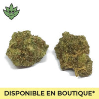 Joint Moyen Champagne Haze pré-roulé CBN+ Sativa | tristancbd.com