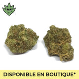 Joint Moyen Champagne Haze pré-roulé CBN+ Sativa | tristancbd.com