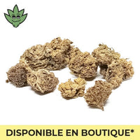 CBC Pré roulé france gorilla cookies legale | tristancbd.com