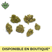 OH-HHC SHOP FRANCE Weedy Wonka à Paris Montparnasse | 