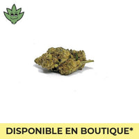 Mini cigarette OH-HHC Weedy Wonka très puissant | tristancbd.com