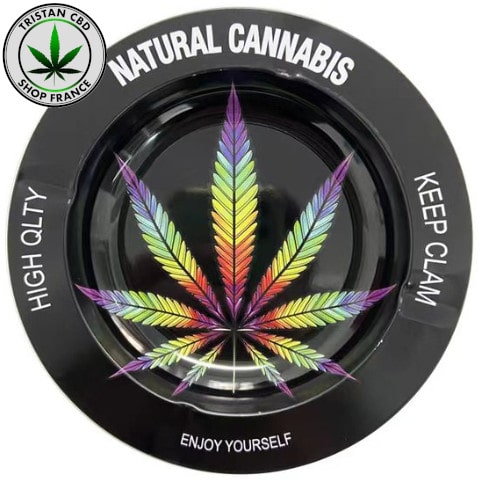 Accessoire CBD SHOP PARIS Cendrier Amsterdam Feuille Néon | tristancbd.com