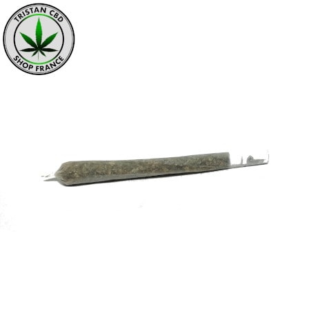 Pré rouler SHOP FRANCE CBD White widow maxi | trisancbd.com