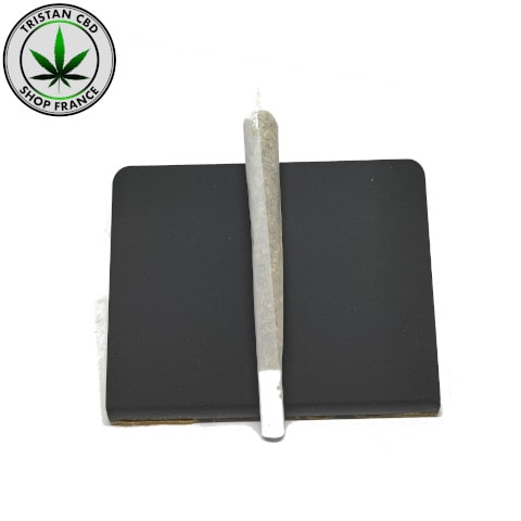 Acheter des cigarette au CBD Maxi Blueberry à coté de la gare Montparnasse | tristancbd.com