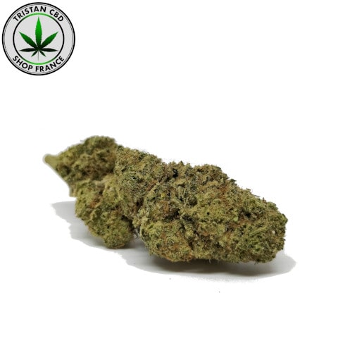 Pre Rolls CBD Gelato Maxi Paris Montparnasse | tristancbd.com