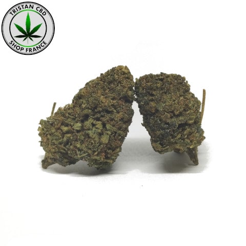 White Widow HHC  fleur puissante | tristancbd.com