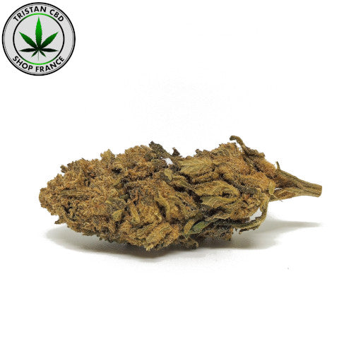 Fleurs CBD Banana Cream | tristancbd.com