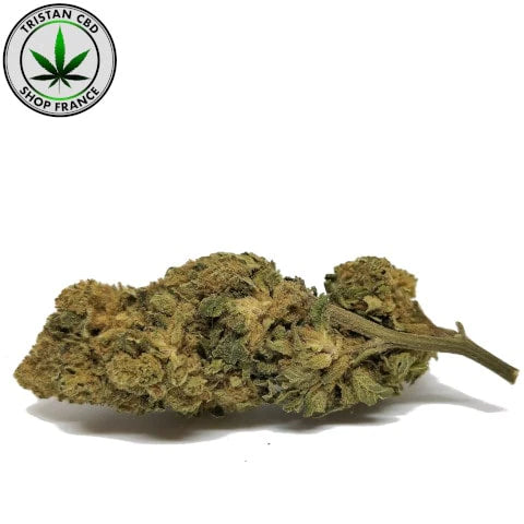 Fleurs CBD Gorilla Glue Paris Montparnasse | tristancbd.com