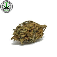 Fleurs CBD Lemon Haze effet citronné | tristancbd.com
