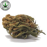Fleurs CBD Lemon Haze pas cher | tristancbd.com