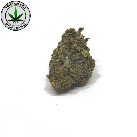 Joint pré-roulé HHC puissantes 50 | tristancbd.com